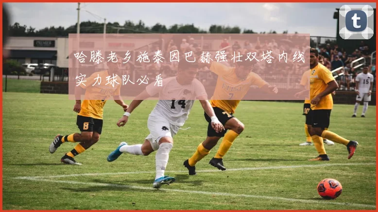哈滕老乡施泰因巴赫强壮双塔内线实力球队必看